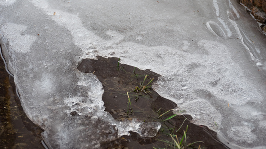冰融融在水坑中,时间折叠视频