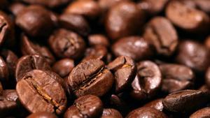 咖啡豆的展示21秒视频