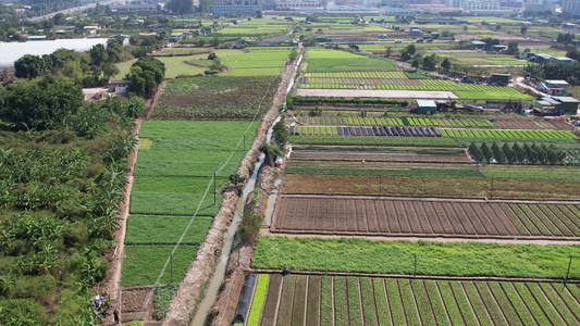 城郊蔬菜种植基地航拍视频