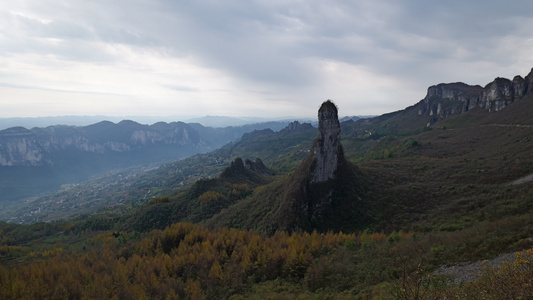 湖北恩施大山顶水杉风景风光森林视频