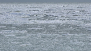 冷冻的黑海中的浮冰,乌黑39秒视频