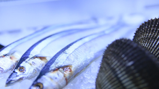 海鲜食材[海鲜类]视频