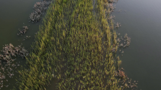 水库黄昏日落航拍[主河道]视频