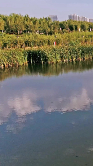 西安幸福河生态公园16秒视频