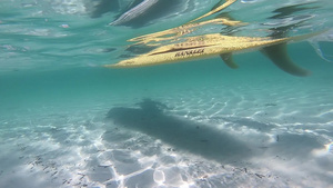 从水晶海水下拍摄的白色立式桨板18秒视频