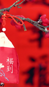 红红火火过新年树枝上的福袋中国结视频