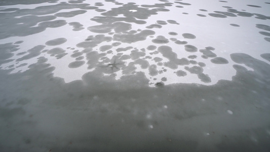 冰冻湖泊,表层下深气气泡的形态图案视频