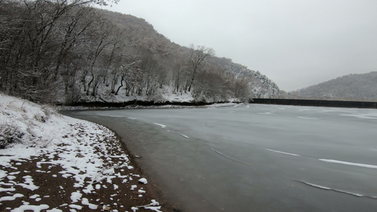 雪林中的冰冻湖泊视频