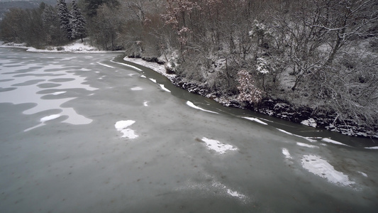 湖面冰冻在雪白的干枯树和树桩中 寒冷的湖面视频