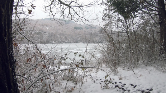 令人惊叹的冰冻湖风景 穿过树枝 而下雪,冬季风景视频