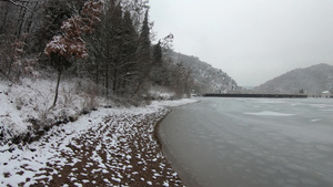 徒步在寒冷的冬季湖附近走在森林中,同时下雪20秒视频