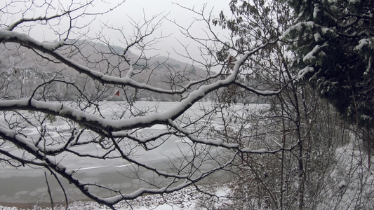 周围积雪覆盖雪丘的冰冻湖泊视频