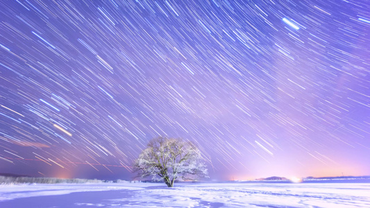 唯美冬季雪景树林夜晚星空银河星轨延时视频