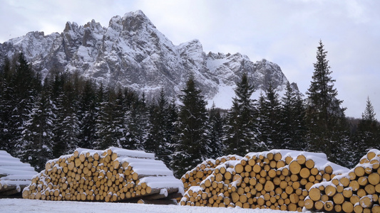 雪山下的木柴堆放点视频