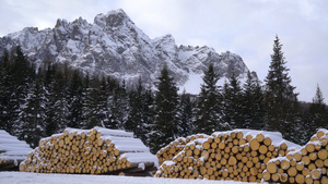 雪山下的木柴堆放点9秒视频