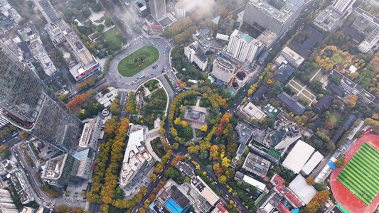 航拍南京鼓楼公园的秋季风光视频