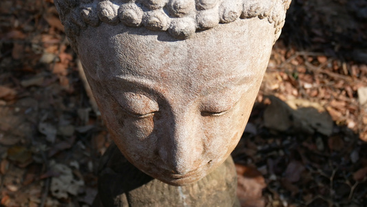 古老崇拜佛像的宁静和平面貌被照亮视频