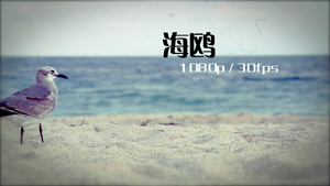 夏季旅行度假阳光沙滩相册片头宣传片41秒视频