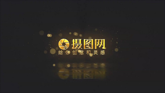 黑金房地产LOGO定版视频