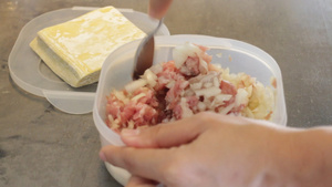 用猪肉和洋葱混合的水饺12秒视频