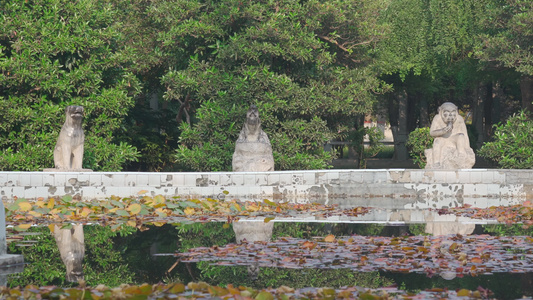 秋天公园湖泊鱼群和雕像视频