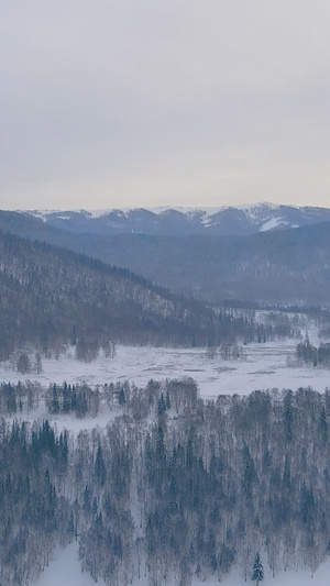 水墨魔界冰天雪地雾凇风光4A旅游景点32秒视频