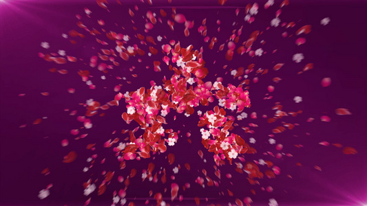 10秒炫彩花瓣粒子倒计时视频