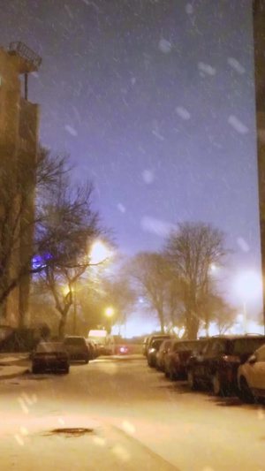 寒潮夜晚昏暗的路灯大雪纷飞10秒视频