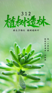 绿色唯美植树节视频海报[植树日]视频