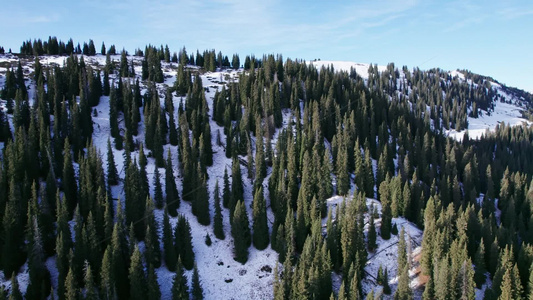 航拍冬季雪山森林视频