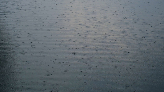 4K实拍暴雨雨季下雨天水面雨滴视频