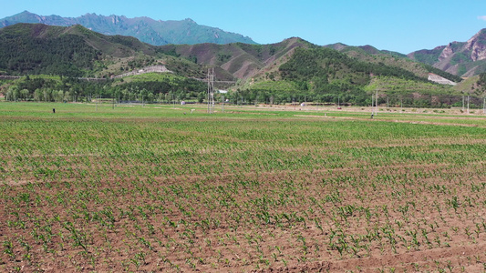 航拍乡村田地视频