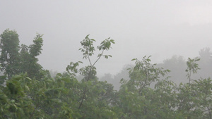 雨15秒视频