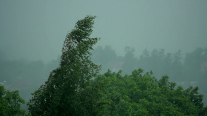 雨14秒视频