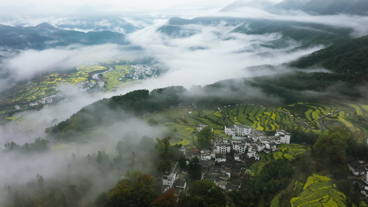 婺源江岭景区油菜花梯田云海风光航拍合集视频