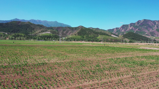 航拍乡村田地视频