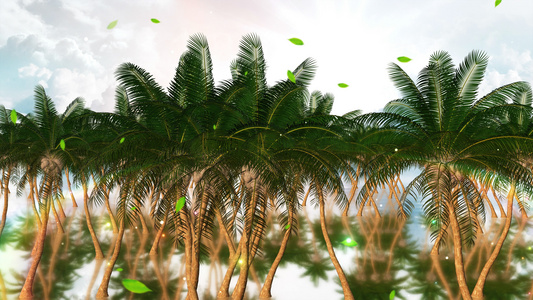 4K唯美的椰树背景素材视频