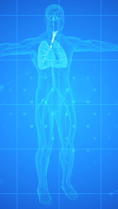 医疗人体结构剖析背景视频分子式视频