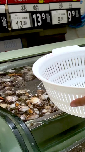 实拍水产市场购买海鲜血蛤海洋生物33秒视频