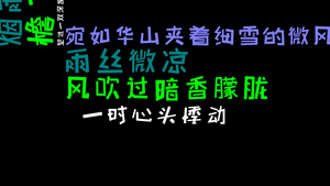 字幕快闪到鸭子模板20秒视频