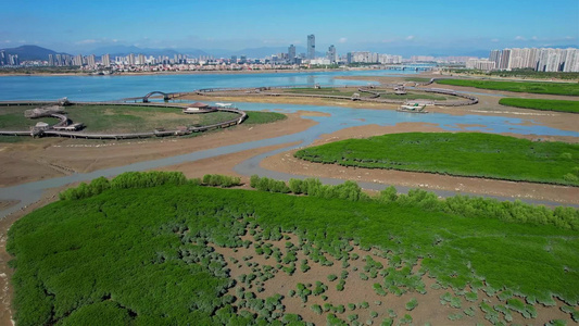 厦门航拍下潭尾湿地公园视频