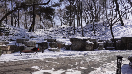 落雪假山石岩石圆明园雪景视频