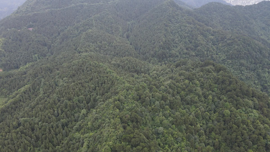 湖南中坡山国家森林公园航拍视频视频