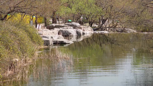 旅游湖水湖边植物游客游览视频