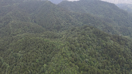 湖南中坡山国家森林公园航拍视频视频