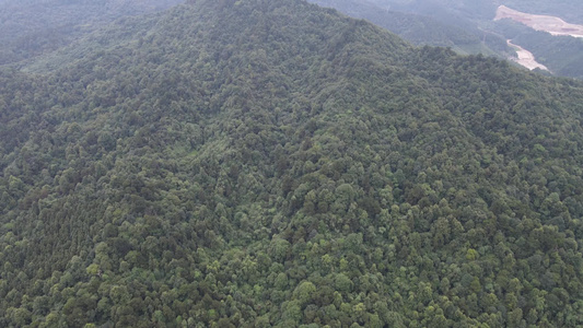 大自然绿色森林植物山川航拍视频视频