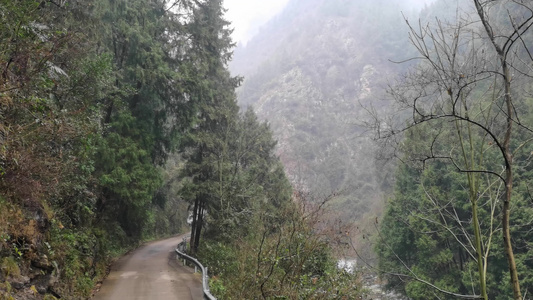 大山深处的山村公路视频