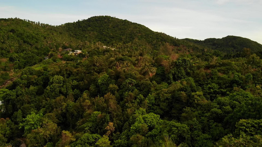 青山岭上的别墅视频