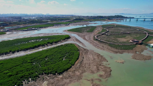 厦门航拍下潭尾湿地公园视频