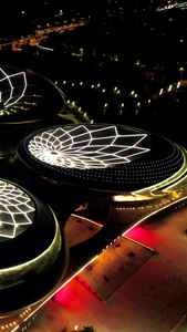 （已收类似）航拍南京城市地标江苏大剧院夜景南京夜景视频
